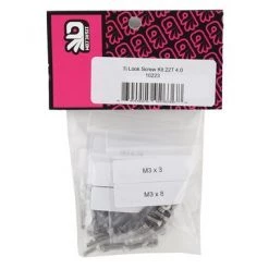 175RC TLR 22T 4.0 "Ti-Look" Screw Kit