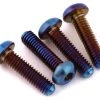 175RC Associated B6 G5 Titanium Differential Screws (Burnt Blue) (4) -175RC Sales 2022 175 18079