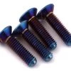 175RC DR10 G5 Titanium Differential Screws (Burnt Blue) (4)