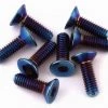 175RC B74 G5 Titanium Differential Screws (Burnt Blue) (8) -175RC Sales 2022 175 18081